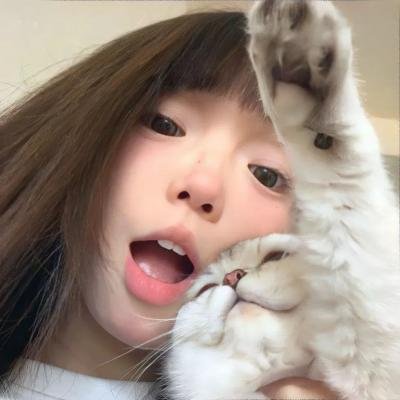 泡芙小姐第二季
